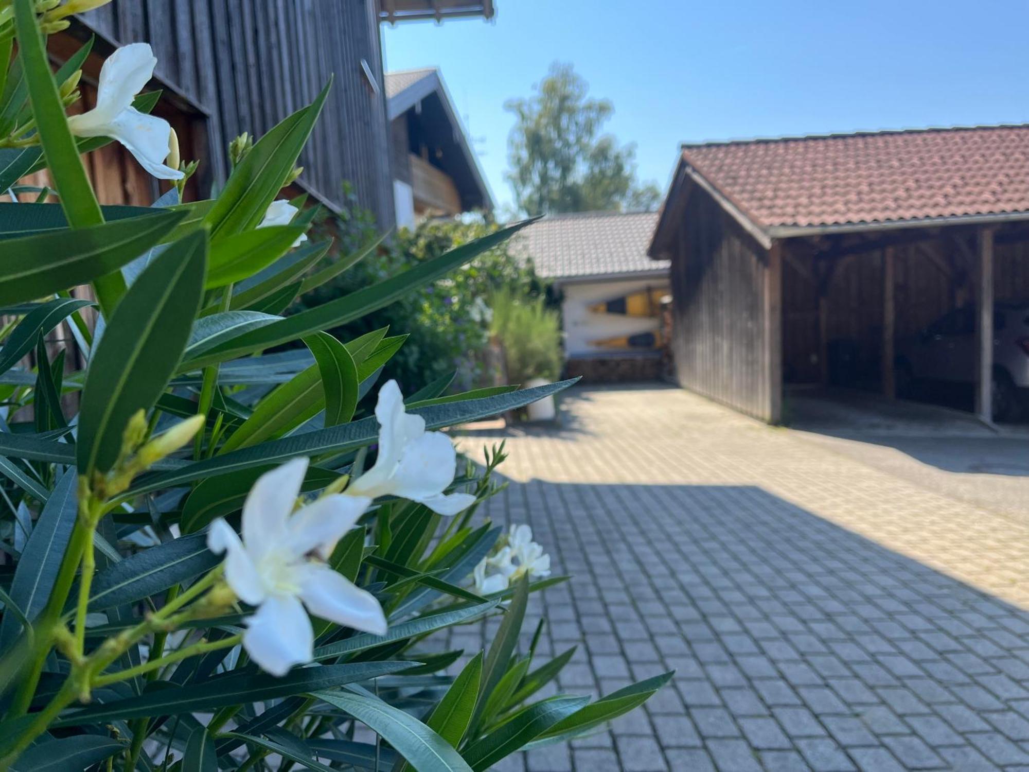 Apartment Wohlfuehlplatzl - Urgemuetlich & Ruhig Vogtareuth Exteriör bild
